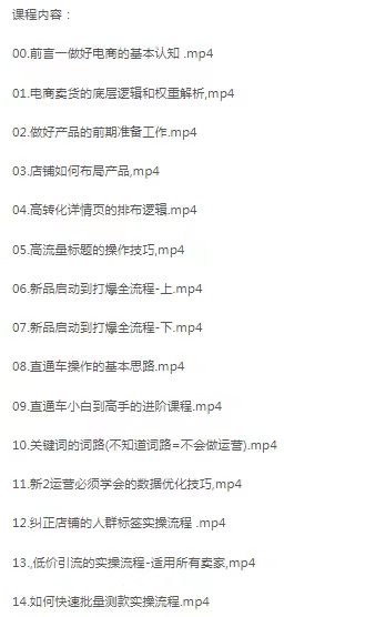 图片[2]-淘系电商课程，0基础实战教学，实操性系统性实时性-好课程网