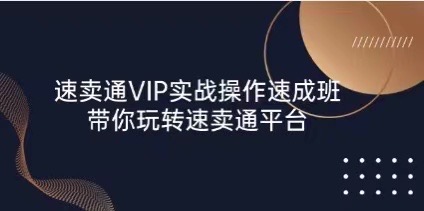 速卖通 VIP实战操作-速成班，带你玩转速卖通平台（23节-好课程网